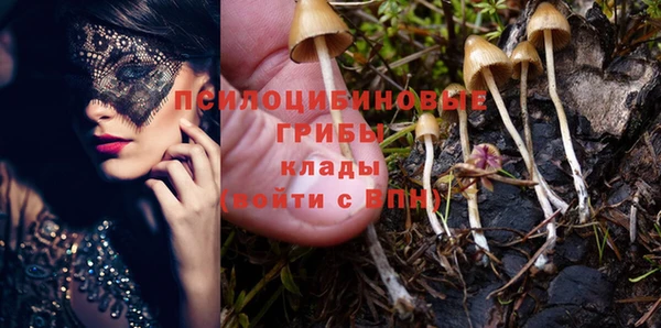 MESCALINE Богородицк