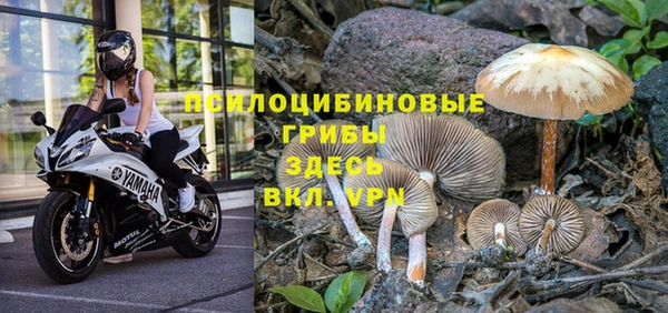 прущая мука Богородск