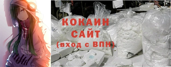 сатива Бронницы