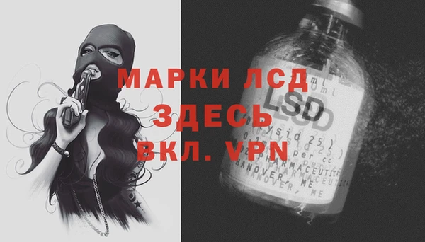 стаф Сосновка