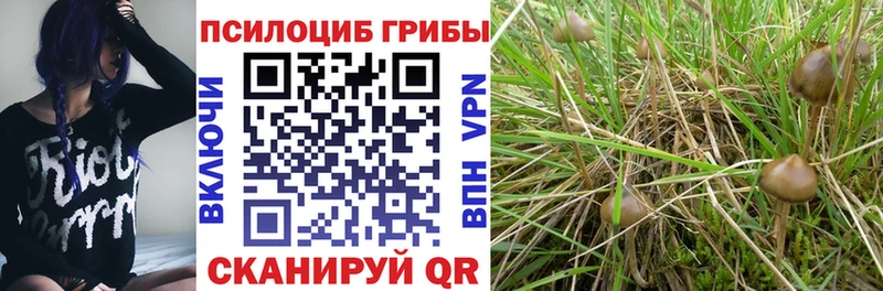 Галлюциногенные грибы Cubensis  Наро-Фоминск 